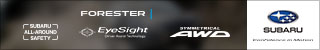 Play animation: subaru_2019_10_320x050