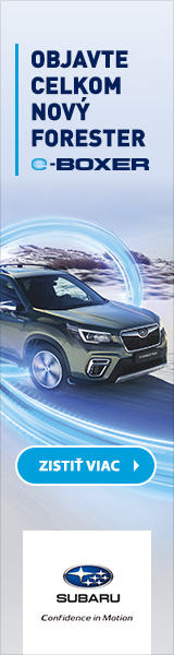 Play animation: subaru_2019_12_160x600