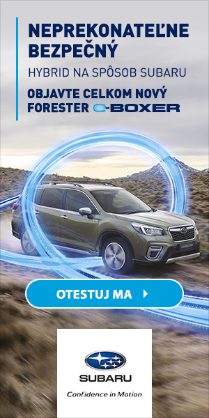 Play animation: subaru_2020_02_300x600